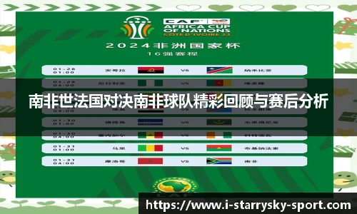 南非世法国对决南非球队精彩回顾与赛后分析